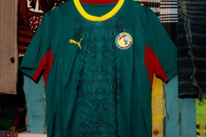 塞内加尔足协官方：此前国家队球衣仅1颗星，下个月供应2颗星球衣