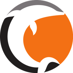 诺科平海豚首发阵容