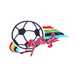 故乡女足首发阵容