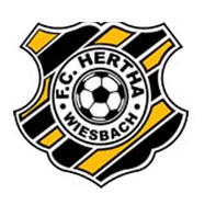 赫塔维斯巴赫首发阵容