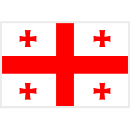 格鲁吉亚U21首发阵容