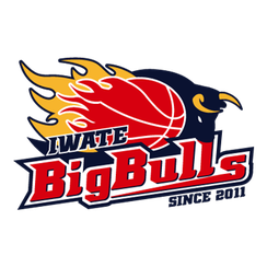 岩手大公牛首发阵容