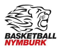 宁布力克首发阵容