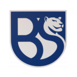 布雷西亚联合首发阵容