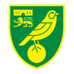 诺维奇首发阵容