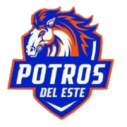 埃斯特海岸首发阵容