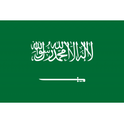 沙特U20首发阵容